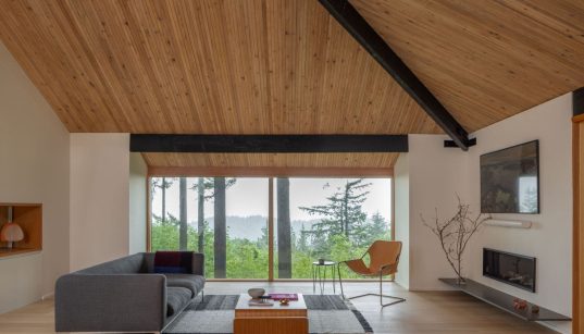 Forest Remodel - Living Room