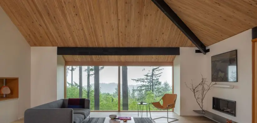 Forest Remodel - Living Room