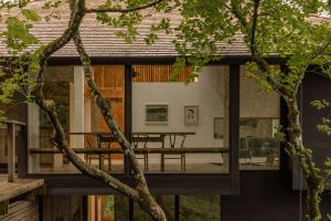 Forest Remodel - Exterior