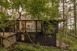 Forest Remodel - Exterior