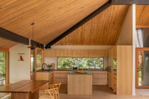 Forest Remodel - Kitchen