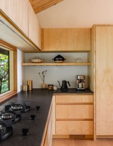 Forest Remodel - Kitchen
