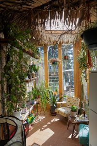 Maple Leaf House - Interiors