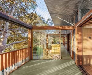 Balmy Palmy House - Exterior