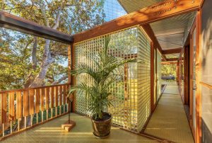 Balmy Palmy House - Exterior