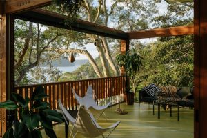 Balmy Palmy House - Outside