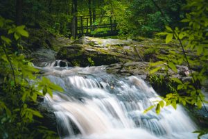 mid-century home for sale: The Falls - Waterfall