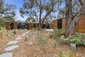 Wrinkler Property - Exterior