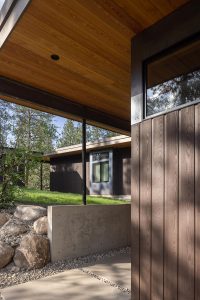 Modern Meadow House