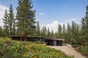 Modern Meadow House