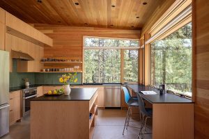 Modern Meadow House