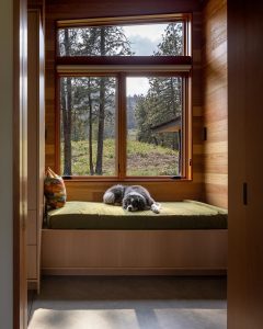 Modern Meadow House